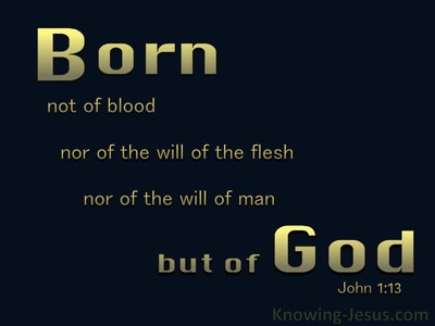 John 1:13 Not Born of Man's Will But Of God (black)